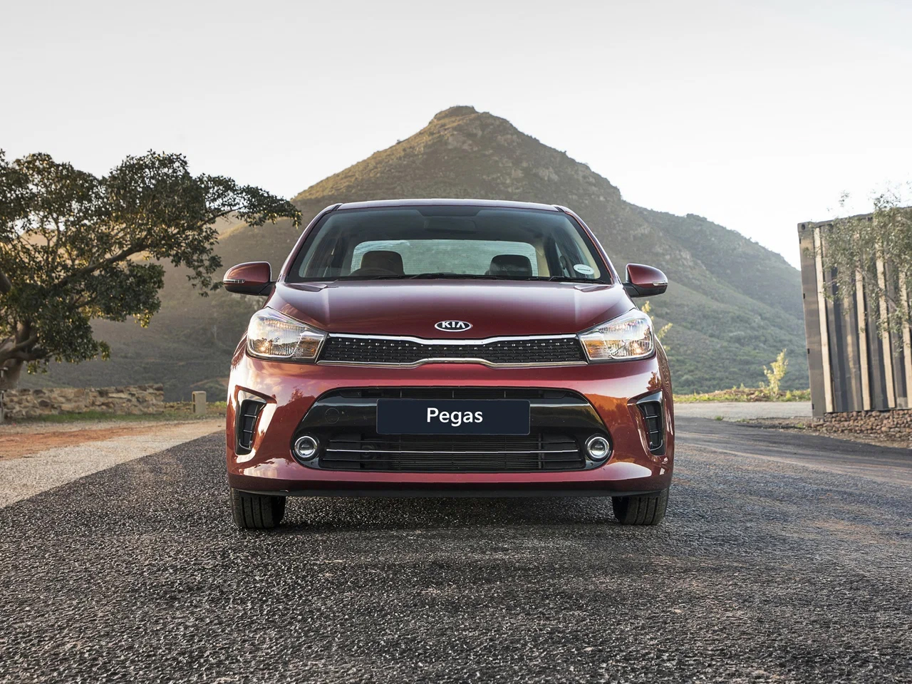Kia Pegas