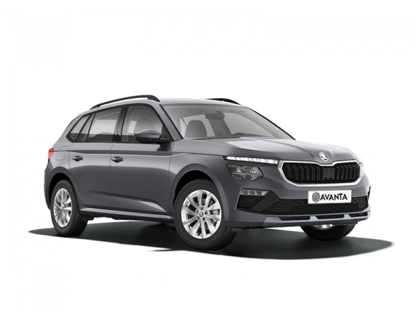 Skoda Kamiq Серый