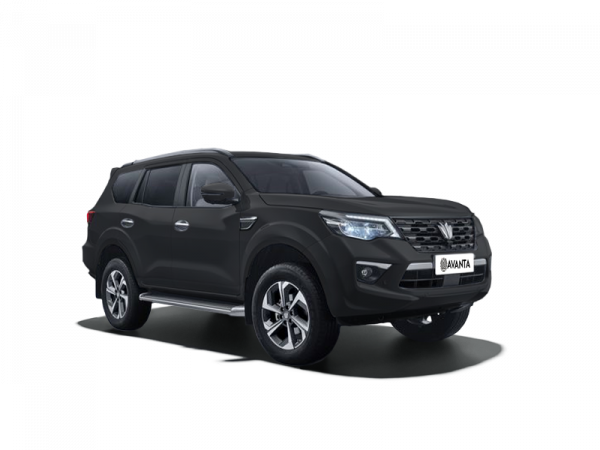 Oting Paladin Делюкс 2.0 AT