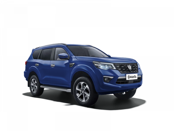 Oting Paladin Премиум 2.0 AT